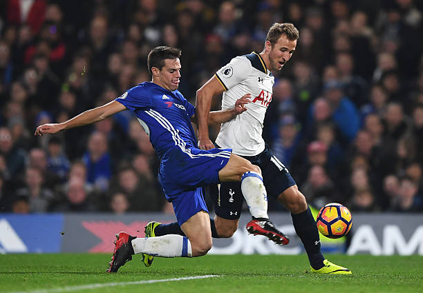 士对此充满 士对此充满