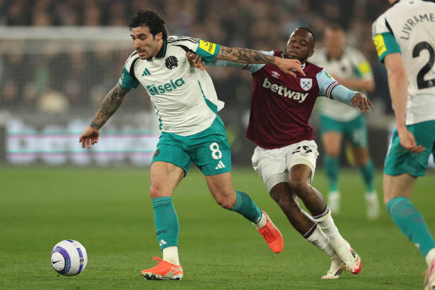 表现突出 表现突出