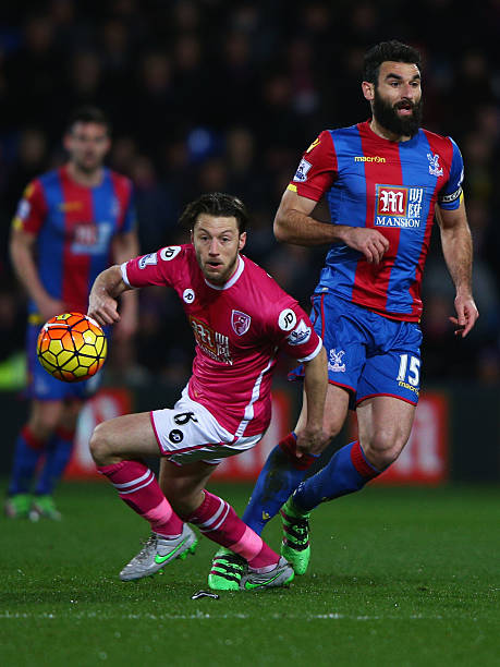 在调查芒特 在调查芒特