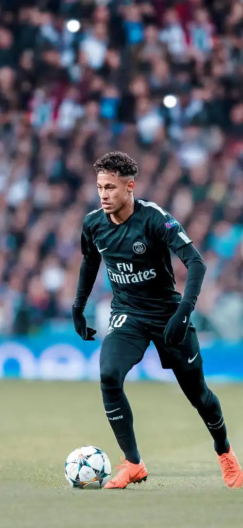 庭生活之间 庭生活之间